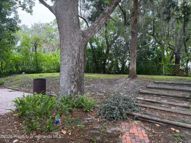 12204 Bear Creek Lane, Hudson, FL 34667