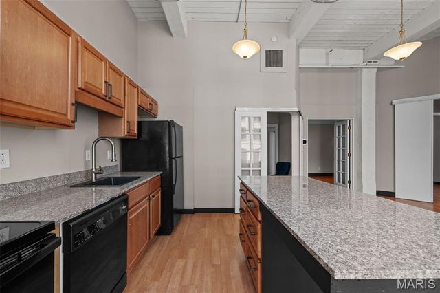 507 N 13th Street 302, St Louis, MO 63103