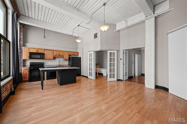 507 N 13th Street 302, St Louis, MO 63103