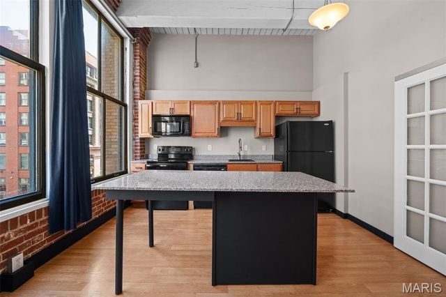507 N 13th Street 302, St Louis, MO 63103
