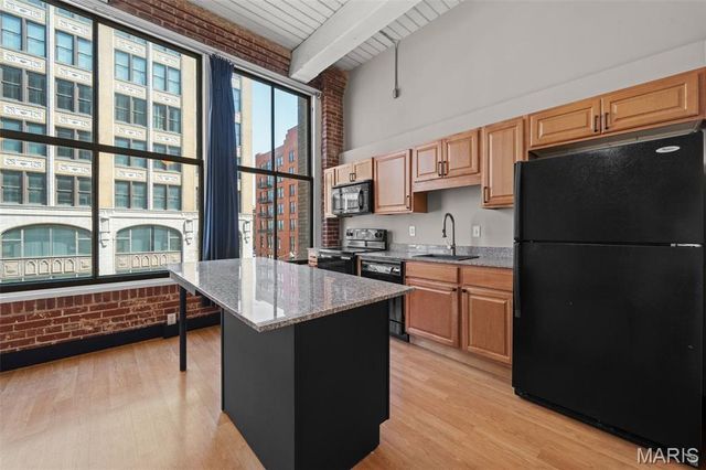 507 N 13th Street 302, St Louis, MO 63103