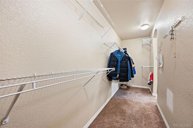 6302 Bearcat Loop, Colorado Springs, CO 80925