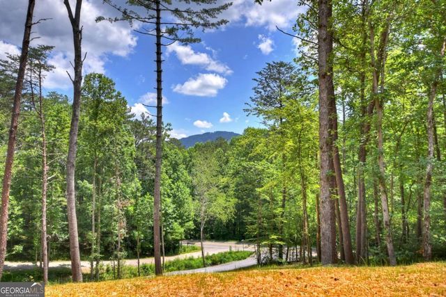 2461 Salem, Mineral Bluff, GA 30559