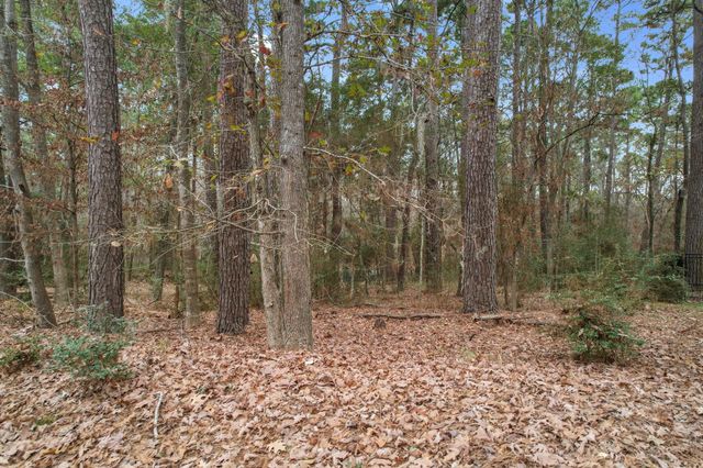 219 Kings Way, Coldspring, TX 77331