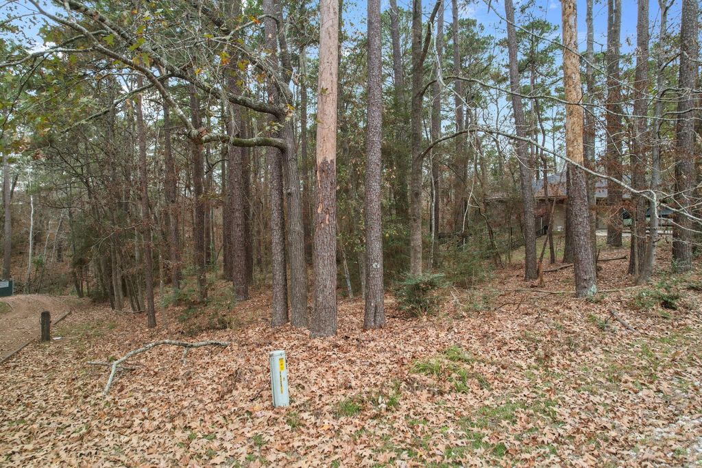 219 Kings Way, Coldspring, TX 77331