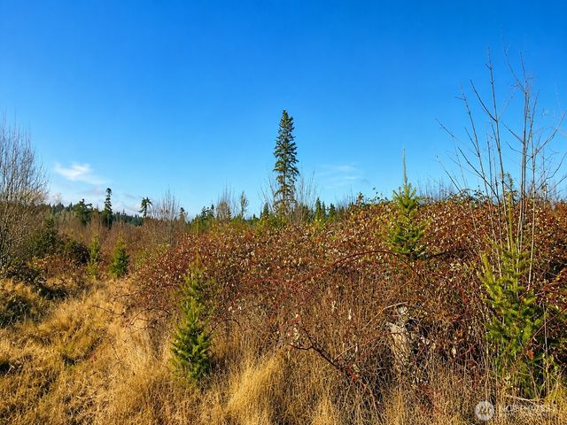 12426 NE Phillip Drive S, Kingston, WA 98346