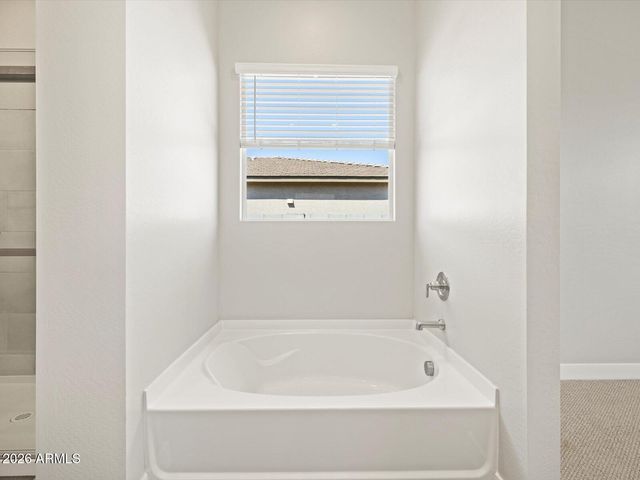 17677 W COLLEGE Drive, Goodyear, AZ 85395
