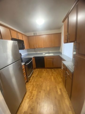 5415 N Sheridan Road 4502, Chicago, IL 60640