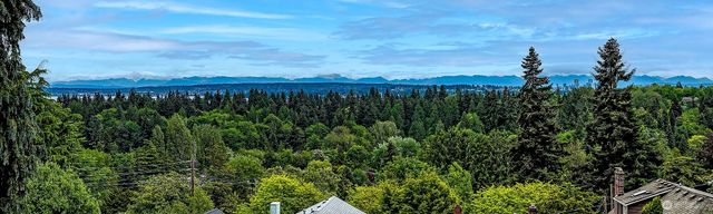 1259 23rd Avenue E, Seattle, WA 98112