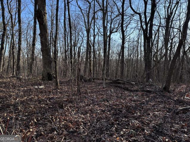 183 St Andrews Way, Ellijay, GA 30536