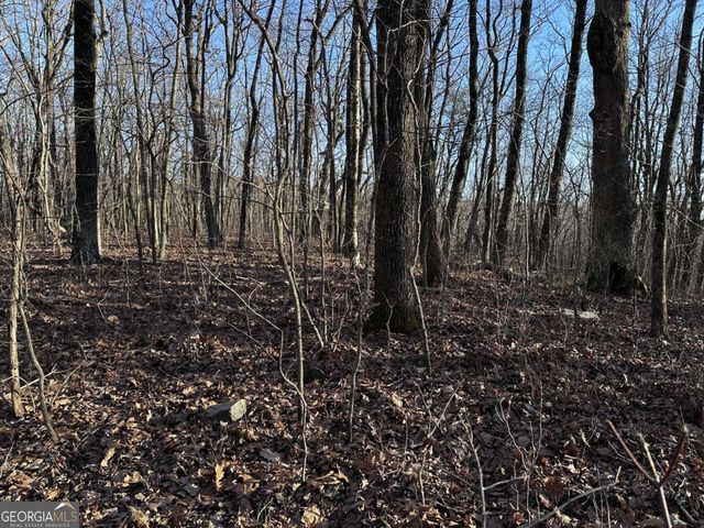 183 St Andrews Way, Ellijay, GA 30536