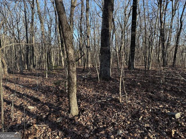 183 St Andrews Way, Ellijay, GA 30536