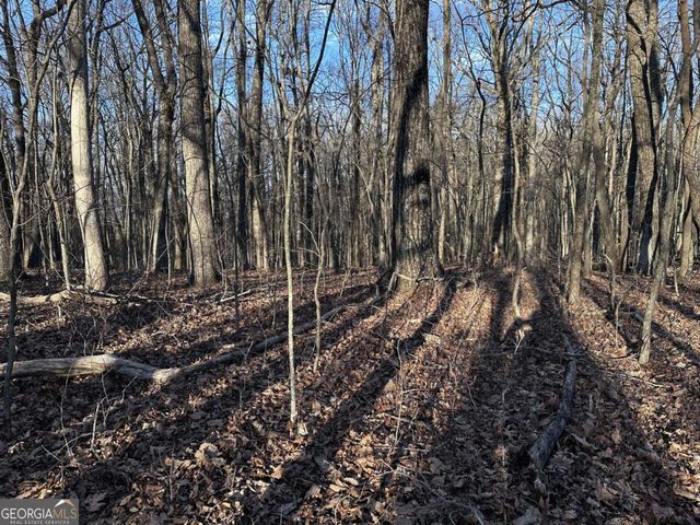 183 St Andrews Way, Ellijay, GA 30536