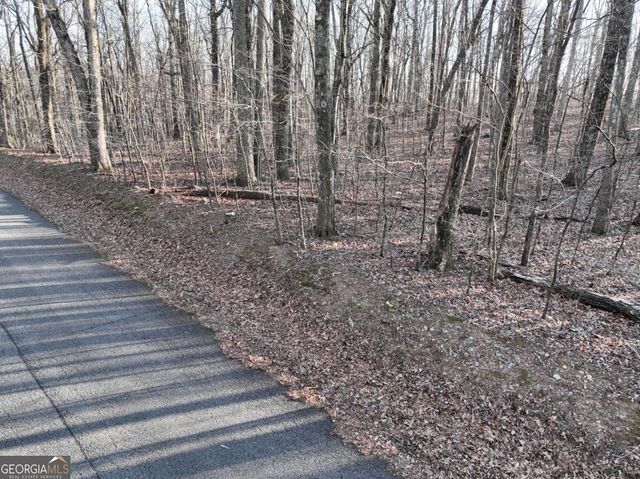 183 St Andrews Way, Ellijay, GA 30536