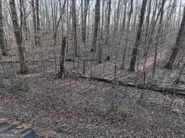 183 St Andrews Way, Ellijay, GA 30536