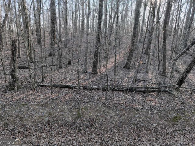 183 St Andrews Way, Ellijay, GA 30536