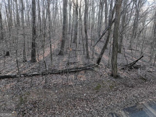 183 St Andrews Way, Ellijay, GA 30536