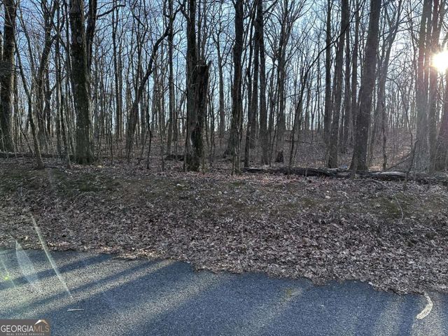 183 St Andrews Way, Ellijay, GA 30536