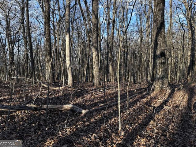 183 St Andrews Way, Ellijay, GA 30536