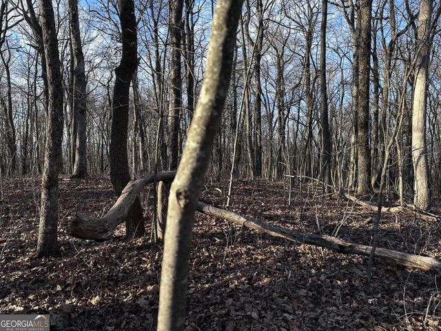 183 St Andrews Way, Ellijay, GA 30536