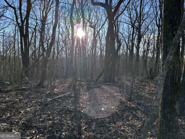 183 St Andrews Way, Ellijay, GA 30536