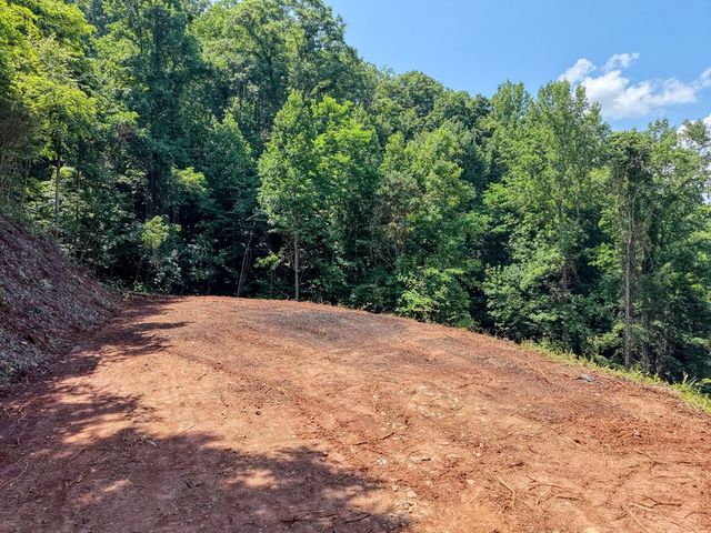LOT 123 Shiloh Drive, Hayesville, NC 28904