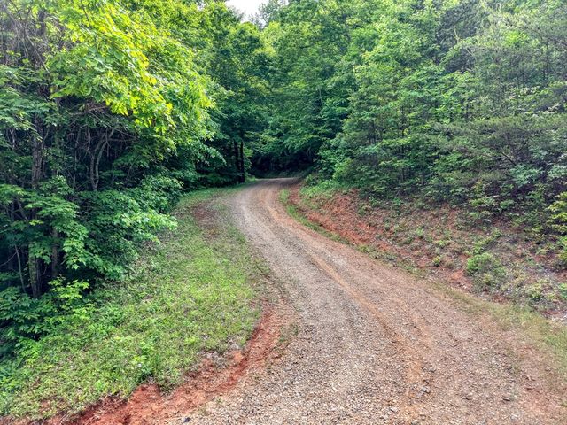 LOT 123 Shiloh Drive, Hayesville, NC 28904