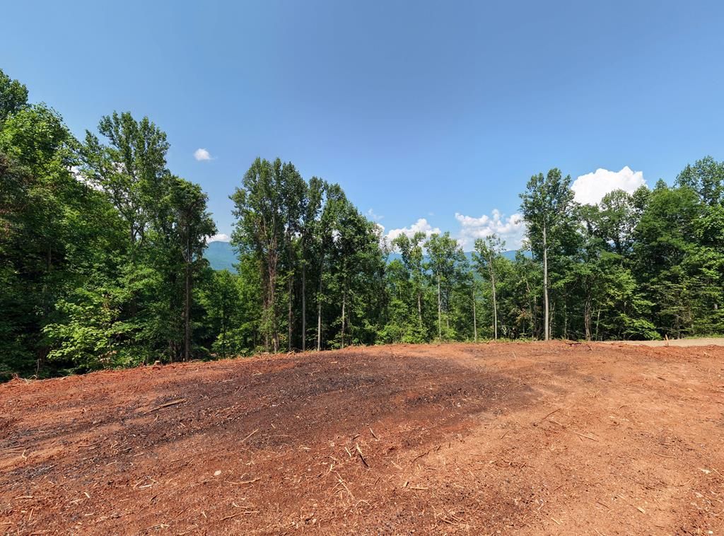 LOT 123 Shiloh Drive, Hayesville, NC 28904