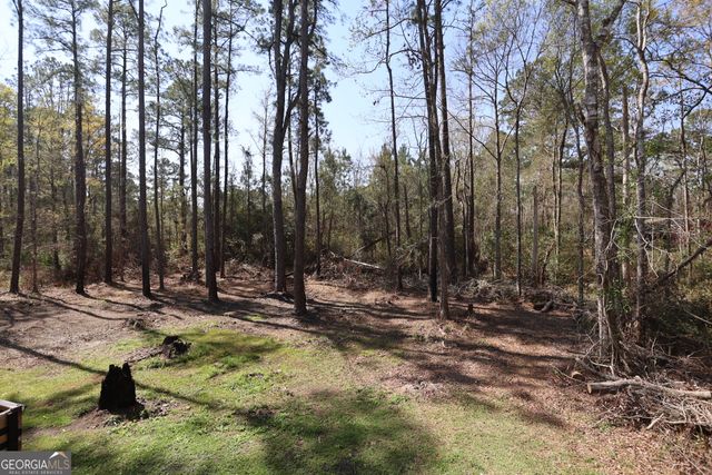 154 Buffalo Drive, Brunswick, GA 31523