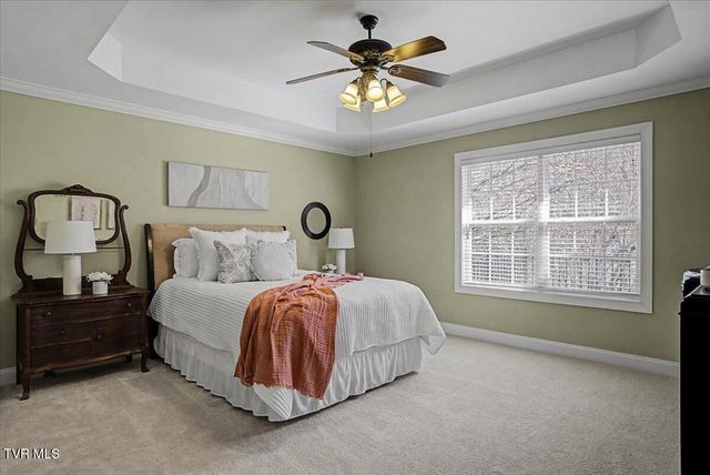 34 Bridgewater Court -, Gray, TN 37615