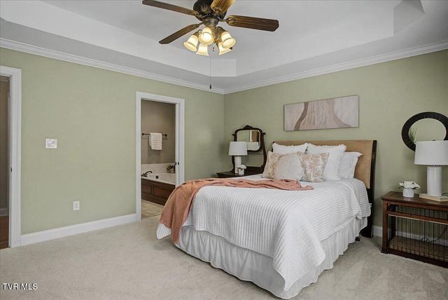 34 Bridgewater Court -, Gray, TN 37615