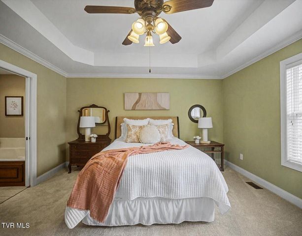 34 Bridgewater Court -, Gray, TN 37615