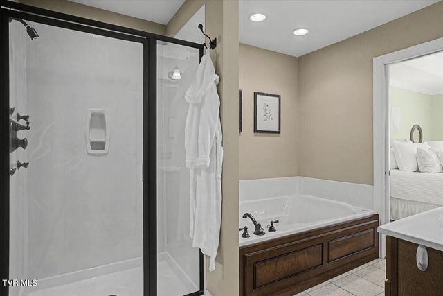 34 Bridgewater Court -, Gray, TN 37615