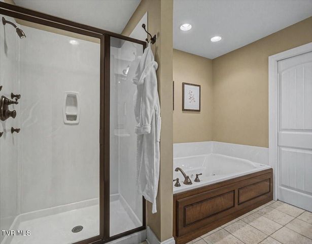 34 Bridgewater Court -, Gray, TN 37615