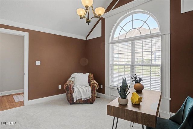 34 Bridgewater Court -, Gray, TN 37615