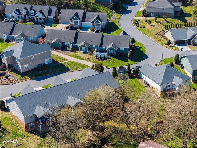 34 Bridgewater Court -, Gray, TN 37615