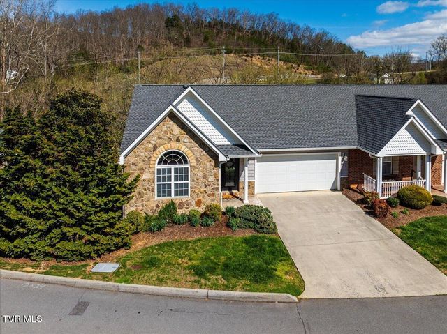 34 Bridgewater Court -, Gray, TN 37615