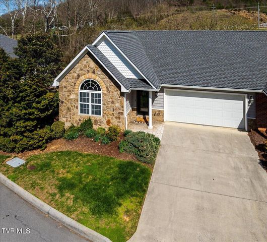 34 Bridgewater Court -, Gray, TN 37615