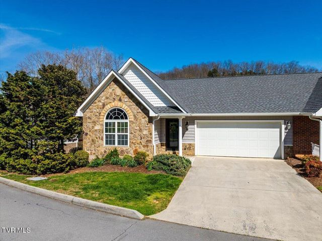 34 Bridgewater Court -, Gray, TN 37615