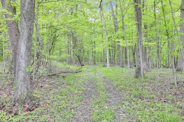 7247 Liberty Church Road, Johnstown, OH 43031
