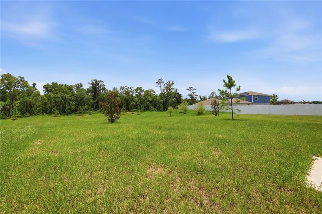 1251 INKBERRY CIRCLE, Deland, FL 32720