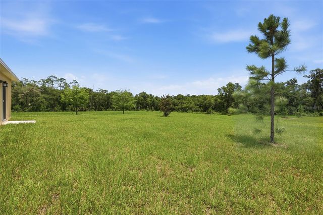 1251 INKBERRY CIRCLE, Deland, FL 32720