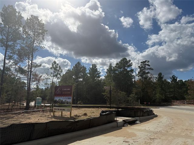 26751 Alderbrook Avenue, Montgomery, TX 77316