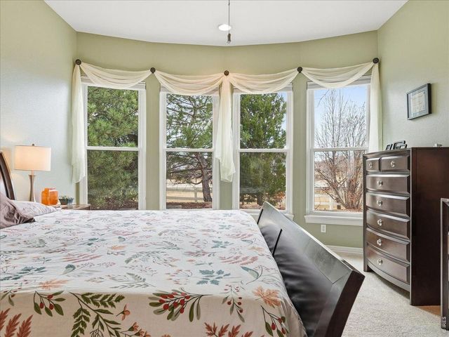 8443 Castaway Dr, Windsor, CO 80528