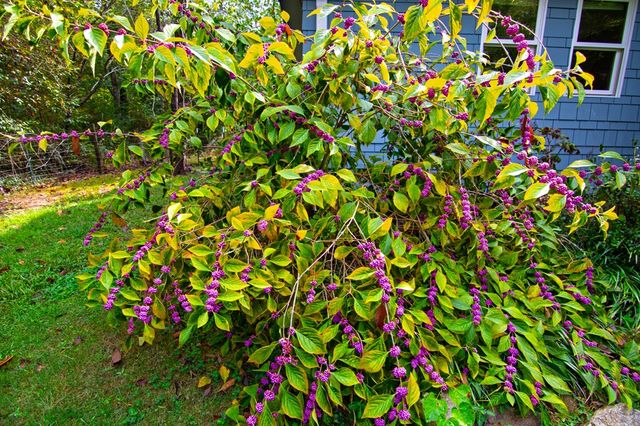 470 Hamilton Mulberry Grove Road, Cataula, GA 31804