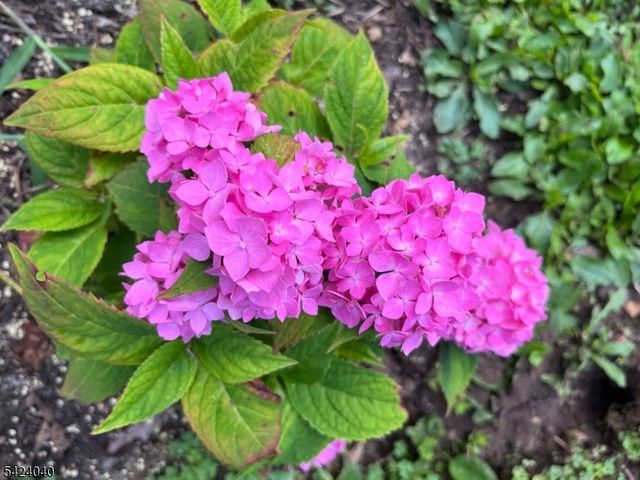 56 Minnisink Rd, Jefferson Twp., NJ 07849