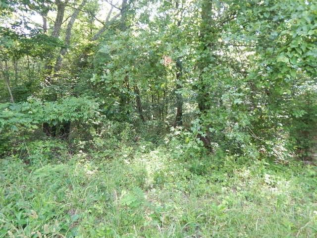 0 4th Dr, Altamont, TN 37301