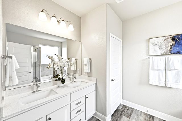 18305 Anicio Gallo DR, Pflugerville, TX 78660