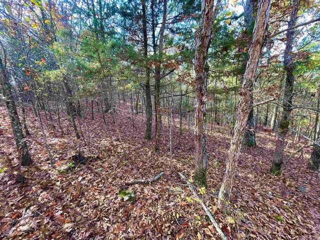 50 Eagle Ridge Dr., Greers Ferry, AR 72067