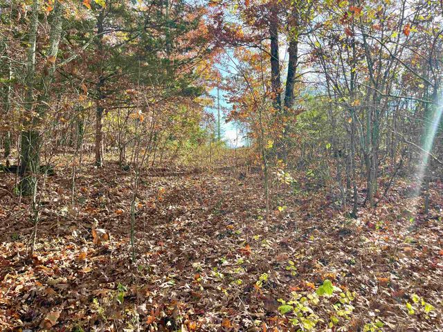 50 Eagle Ridge Dr., Greers Ferry, AR 72067